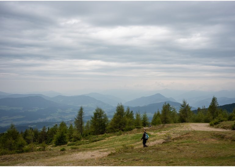 Kuhhirte auf dem Weg ins Tal