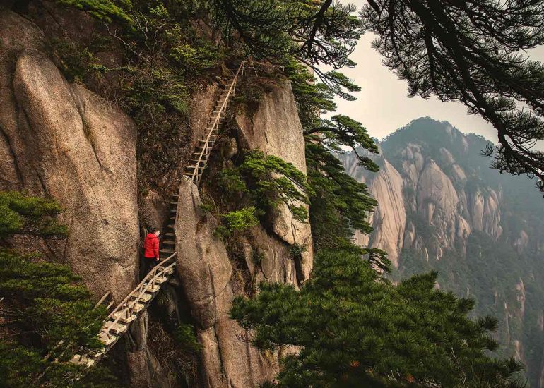 ladder